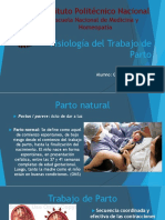 Fisiologia Del Trabajo de Parto