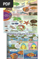 Contoh soalan KBAT Matematik.pdf