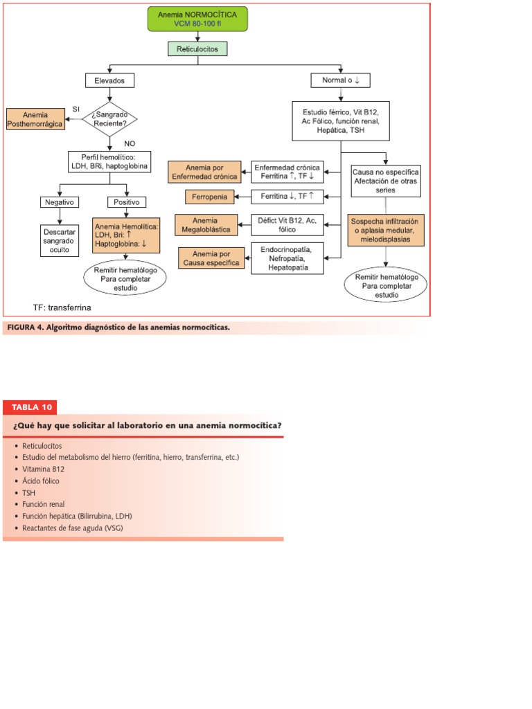 Algoritmo Anemia Normocitica | PDF | Anemia | Rtt