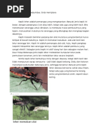 Download Kepik leher Famili Reduviidaedocx by eka irawan SN309907969 doc pdf