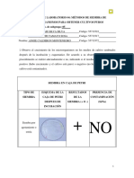 Microbiologia