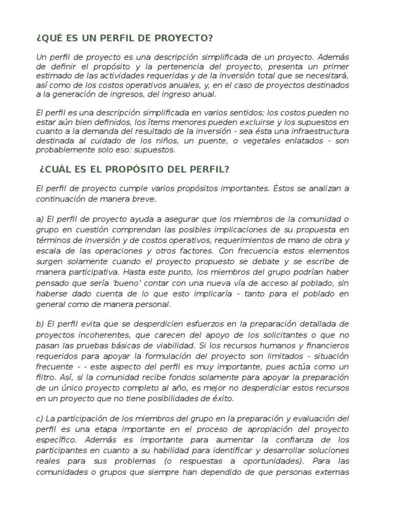 Qué Es Un Perfil de Proyecto | PDF | Recursos humanos | Inversiones