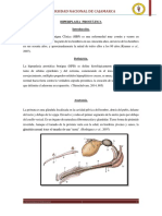 1informe Virtual