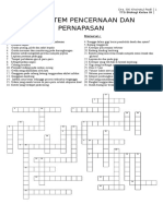 Tts Sistem Pencernaan Dan Pernapasan