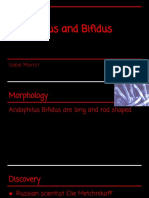 Acidophilus Bifidus