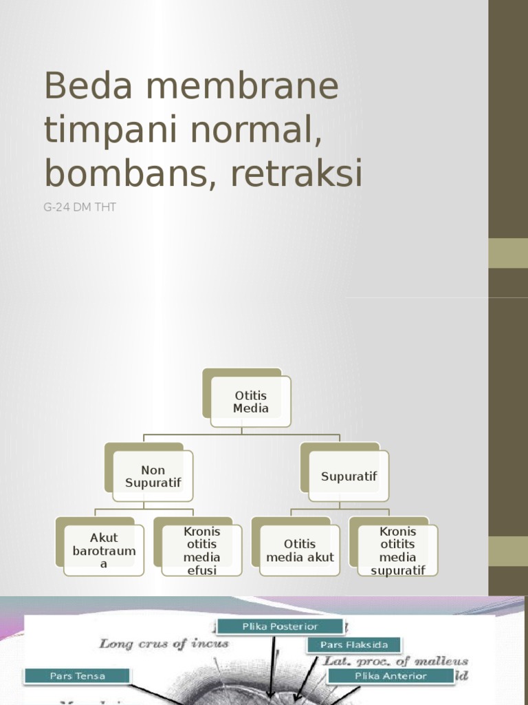Stadium dan Gejala Otitis Media | PDF | Sains & Matematika
