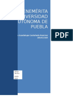 Investigación Del Equipo o Proceso (LOU)