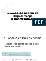 Análise do poema de Miguel Torga A UM NEGRILHO