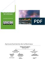TLYA Biomasa-Aprovechamiento