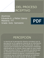 Fases Del Proceso Perceptivo