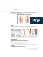 Enfermedades de La Columna Vertebral