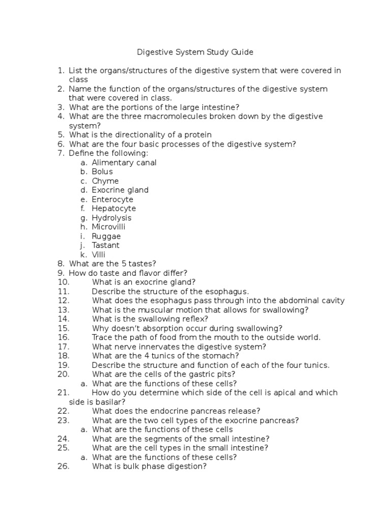 Digestive System Study Guide PDF Human Digestive System Digestion
