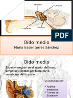 Oído Medio