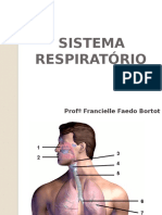 Sistema Respiratório