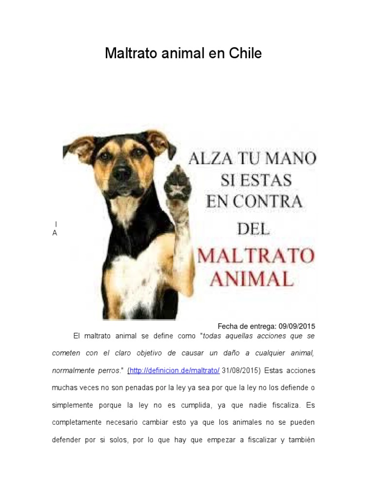 ensayo Maltrato Animal en Chile | Crueldad hacia los animales | Abuso