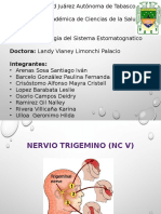 Nervio Trigemino (NC V)