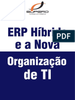 ERP Híbrido e A Nova Organização Da TI