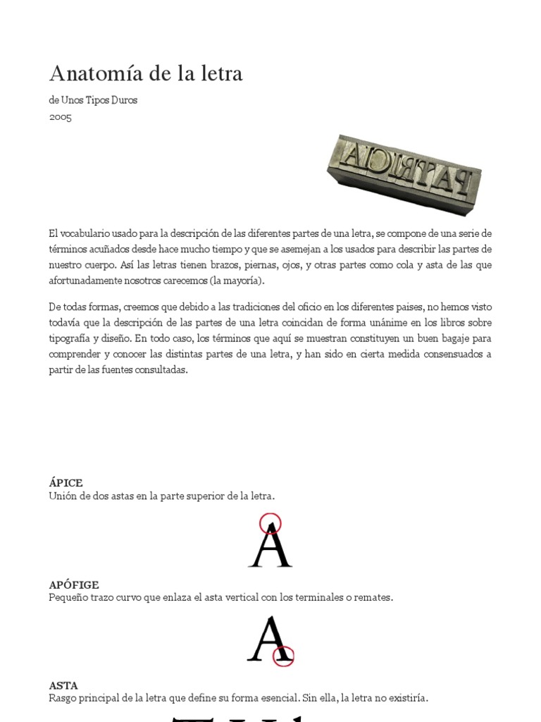 Anatomía de Las Letras | PDF | Tipografía | Naturaleza