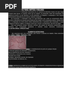 A Composição Nas Artes Visuais