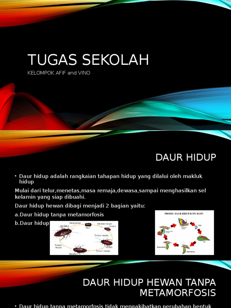 Tugas Sekolah Sd