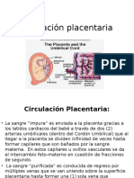 Circulación placentaria