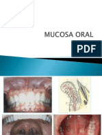 Mucosa Oral