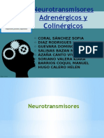 Neurotransmisores Adrenergico y Colinergicos