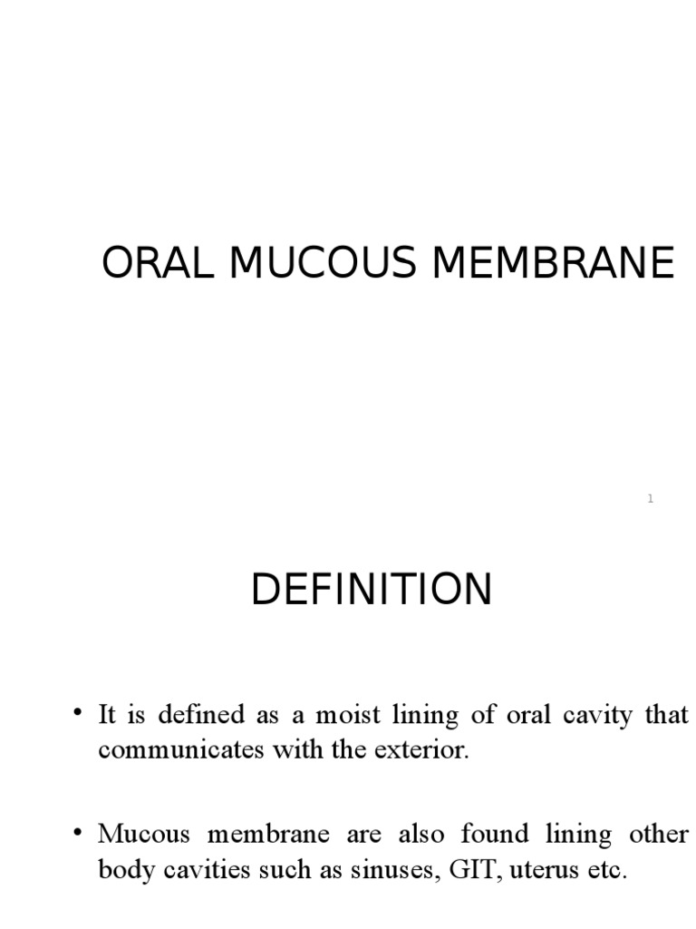 Oral Mucous Membrane PDF Epithelium Zoology