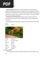 Download Klasifikasi Nyamuk Anopheles by Sandi Akbar SN310057566 doc pdf