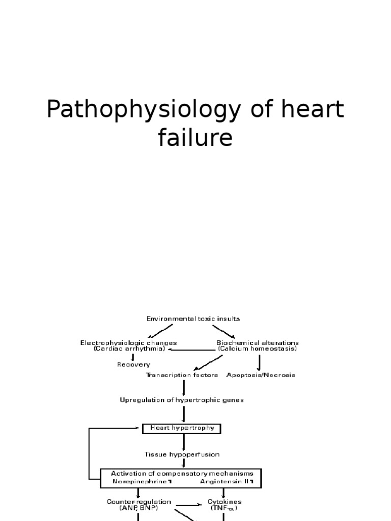Pathophysiology of Heart Failure | PDF