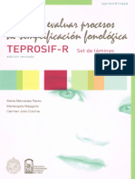 TEPROSIF-R 2008 Set de Láminas PDF