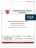 It 17 Brigada de Incendio e Brigada Profissional