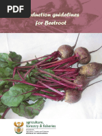 Prodguidebeetroot