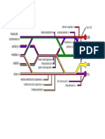 Brachial Plexus