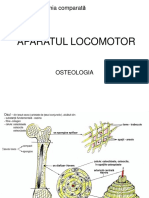 Aparatul locomotor.pdf