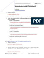 03 Genome Chromosome and Dna Webquest 3