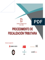 Fiscalizacion Tributaria SUIZA-PERU