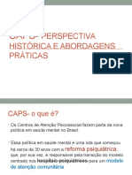 02- CAPS- Perspectiva Histórica e Abordagens Práticas