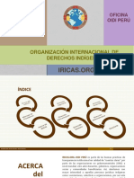 Informe Institucional Anual OIDI Perú- IRICAS.ORG 2015