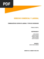 Primera Entrega Derecho Poli