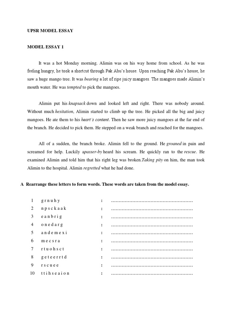 Essay section c picture