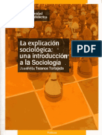 La Explicacion Sociologica: Una Introduccion A La Sociologia
