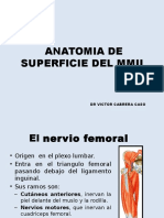 Anatomia de Superficie Del Mmii
