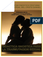 Didactica Gnostica para Trasmutacion Sexual