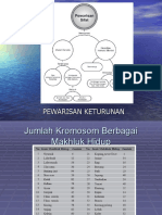 PEWARISAN KETURUNAN