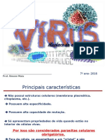 Virus 7 Ano