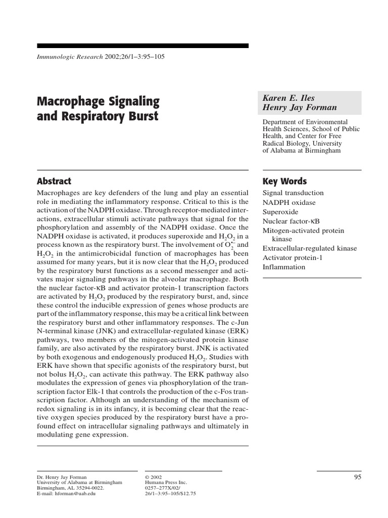 Respiratory Burst 1 PDF PDF Nf κb Reactive Oxygen Species