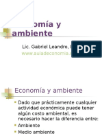 Economía y Ambiente rse