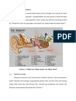 Anatomi Dan Fisiologi Telinga
