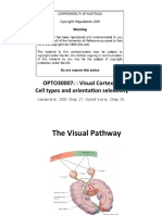 Lect - 10 - Visual Cortex - 1-2013 PDF